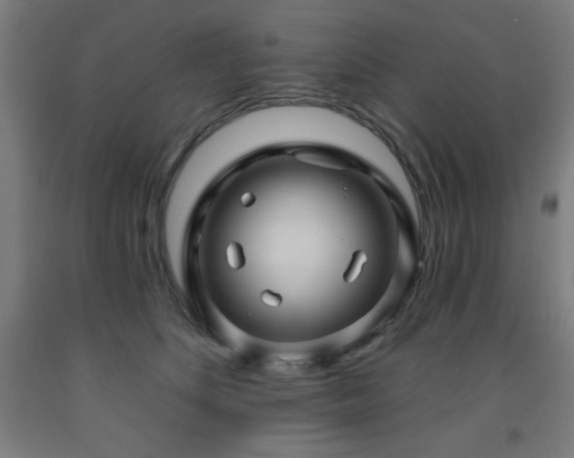 X0000093260516200709261734
