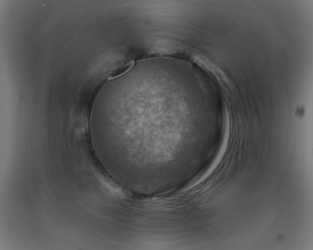 X0000093260517200709261734