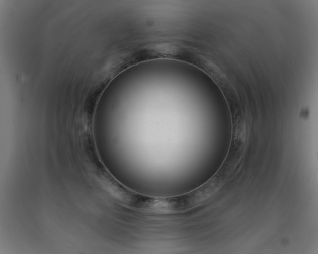 X0000093260518200709261734