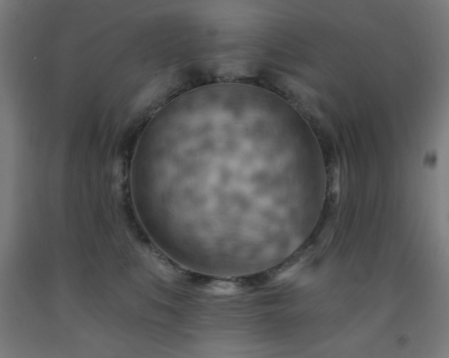 X0000093260519200709261734