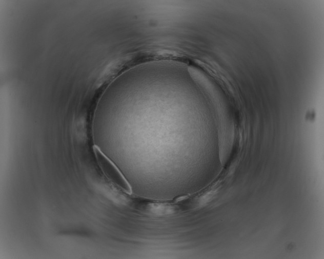 X0000093260520200709261734