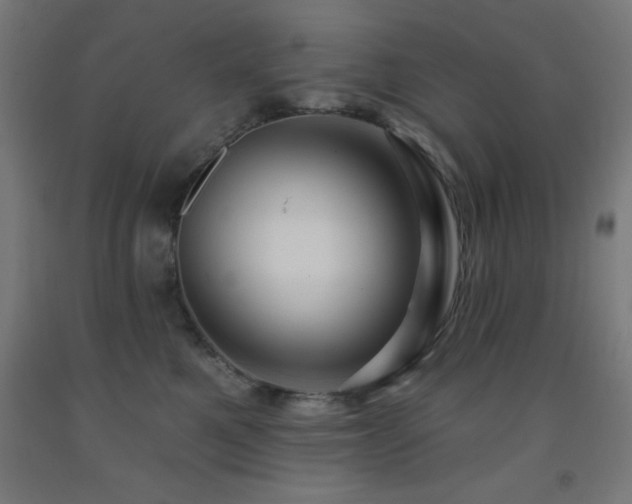 X0000093260521200709261734