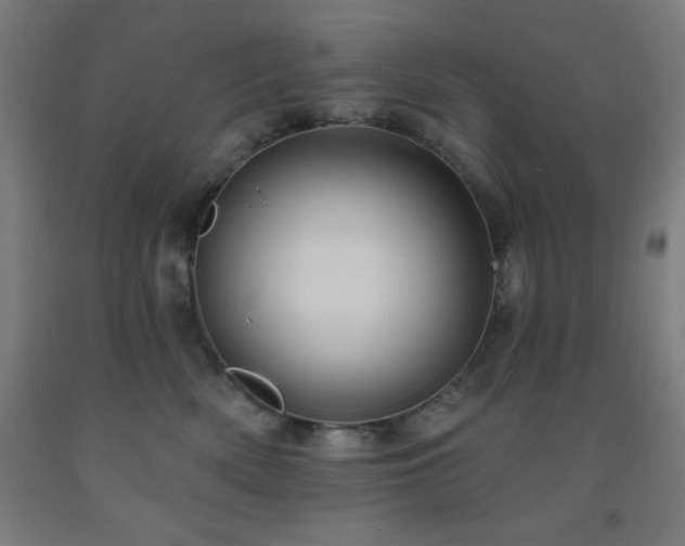 X0000093260522200709261734