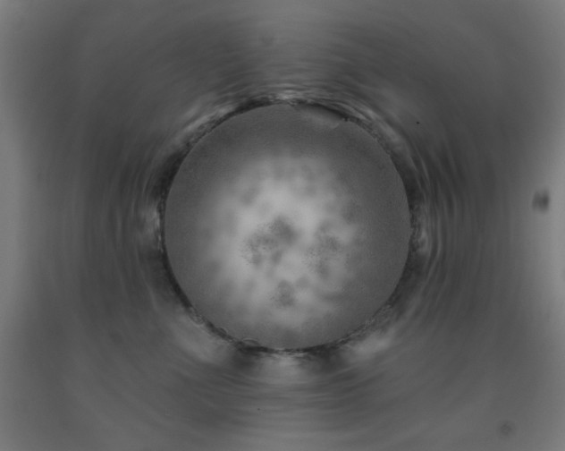X0000093260523200709261734