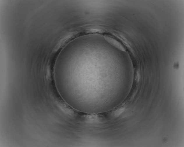 X0000093260524200709261734