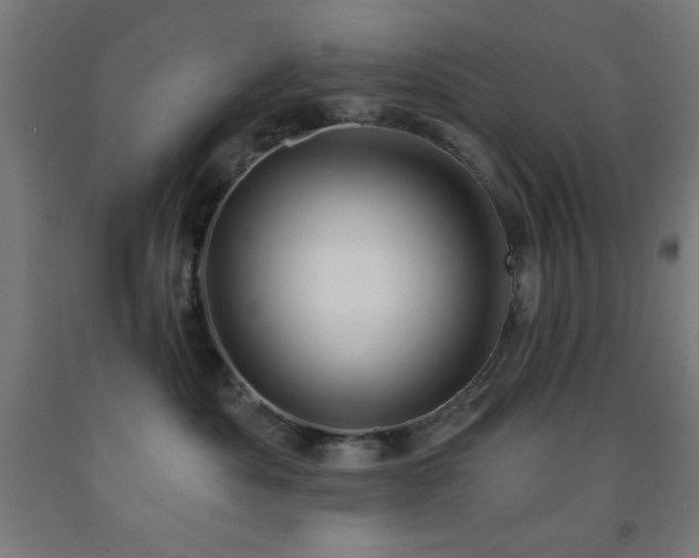 X0000093260525200709261734