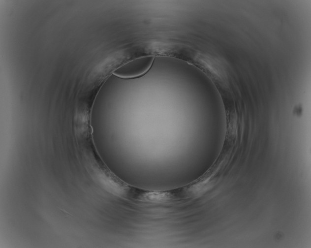 X0000093260526200709261734