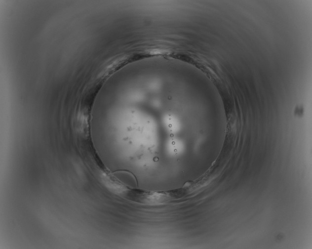 X0000093260527200709261734
