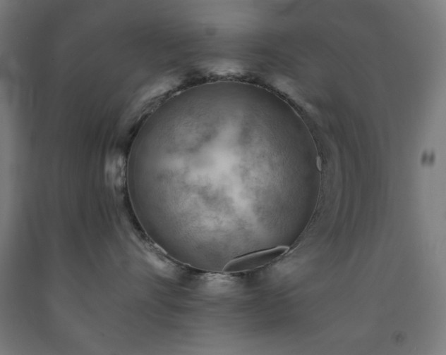 X0000093260528200709261734