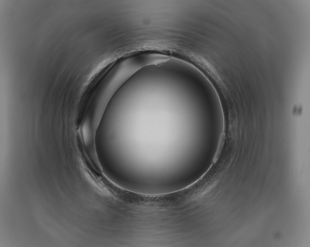 X0000093260530200709261733