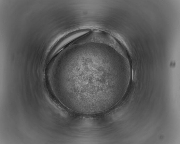X0000093260531200709261733