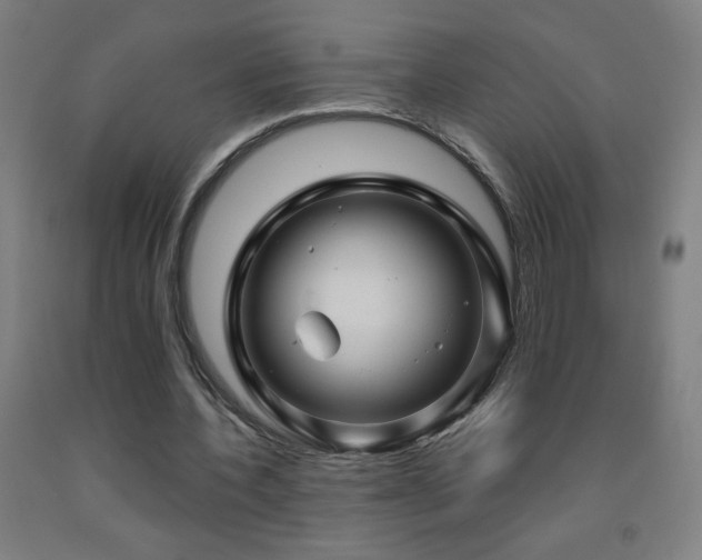 X0000093260532200709261733