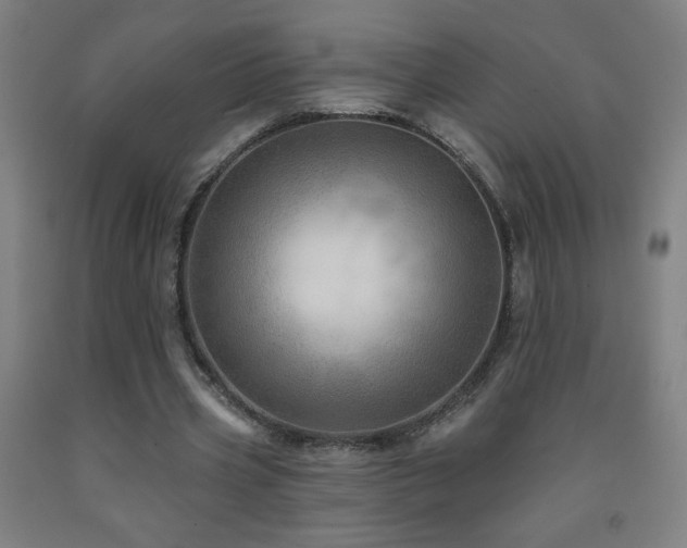 X0000093260533200709261733