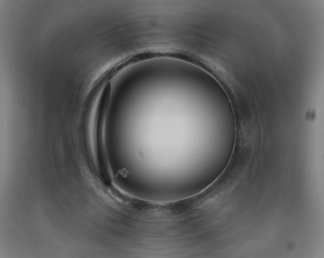 X0000093260535200709261733