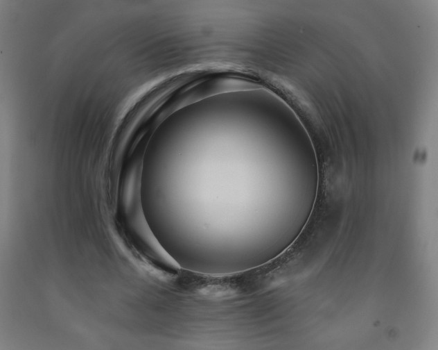 X0000093260536200709261733