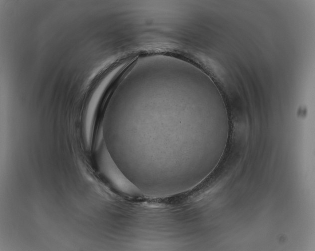 X0000093260539200709261733