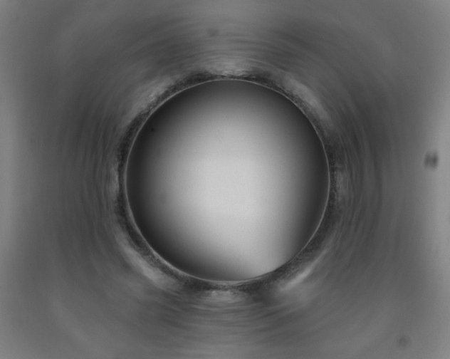 X0000093260541200709261733