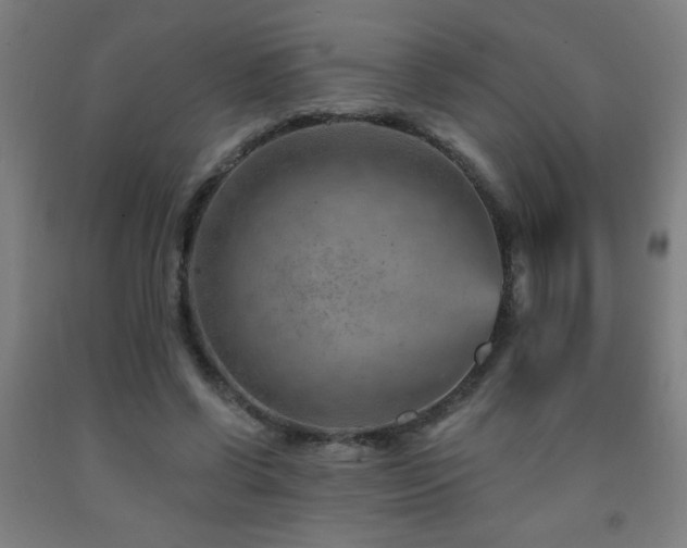 X0000093260542200709261733