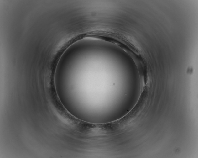 X0000093260544200709261733