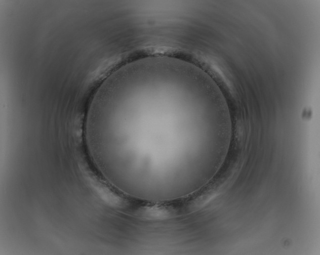 X0000093260545200709261733