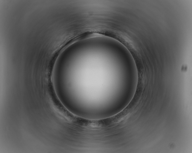 X0000093260546200709261733