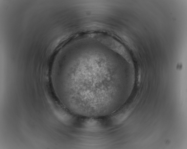 X0000093260547200709261733