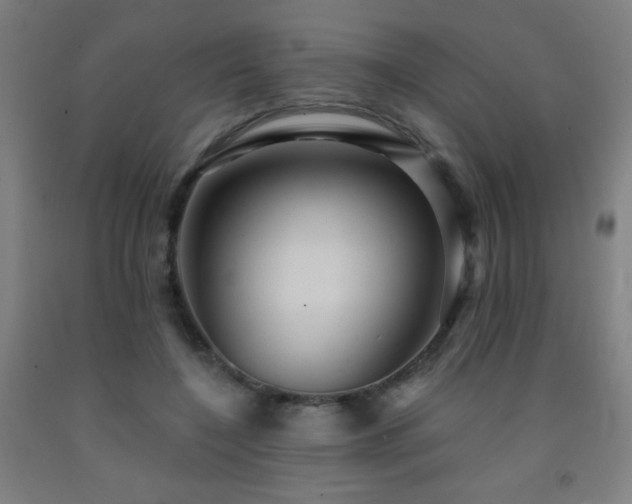 X0000093260548200709261733