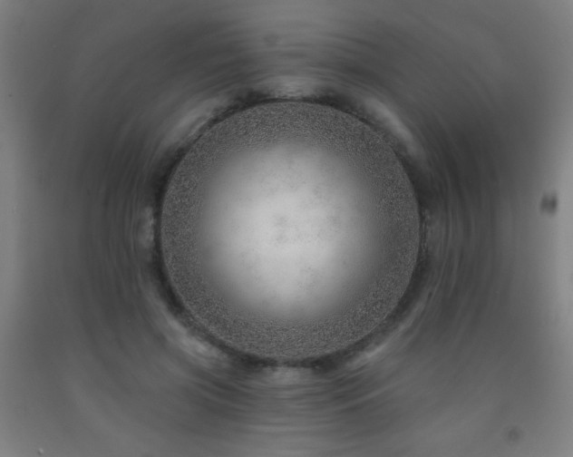 X0000093260549200709261733