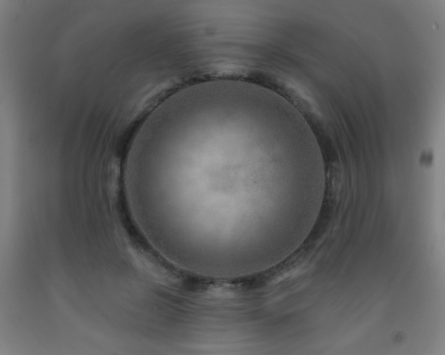 X0000093260550200709261733