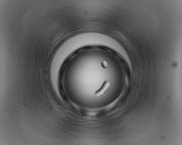 X0000093260552200709261733