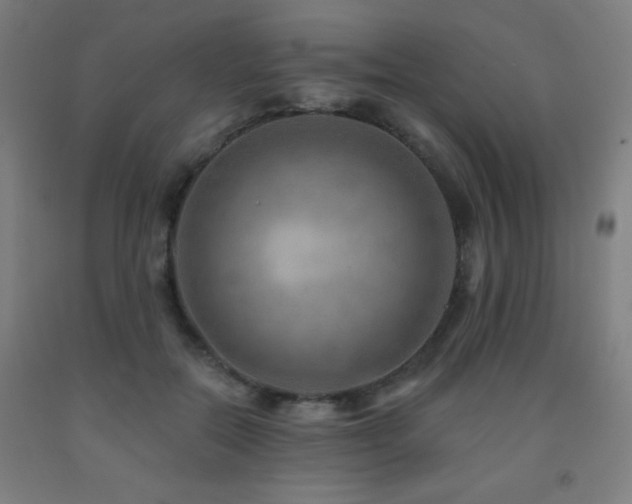 X0000093260554200709261733