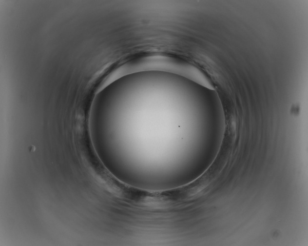 X0000093260556200709261733