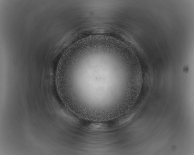 X0000093260557200709261734
