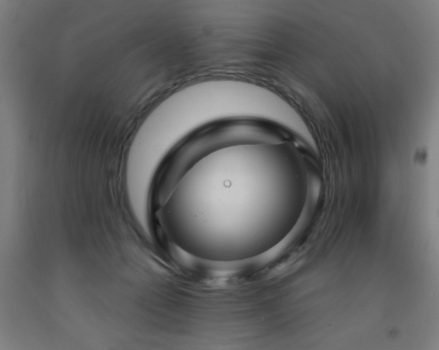 X0000093260558200709261734