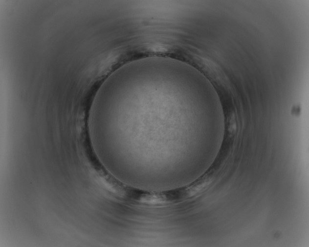 X0000093260559200709261734