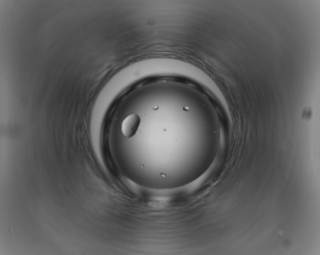 X0000093260560200709261734