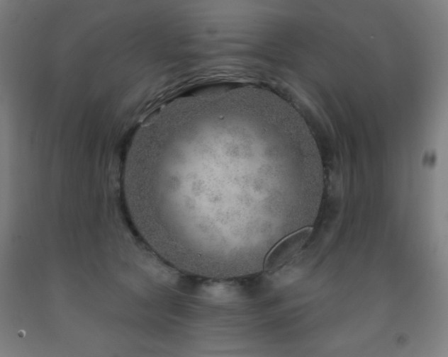 X0000093260561200709261734