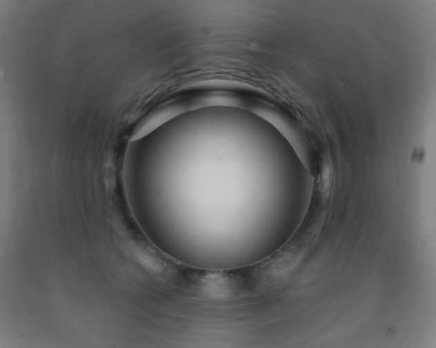 X0000093260562200709261734
