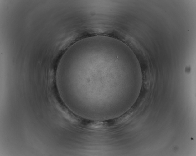 X0000093260563200709261734