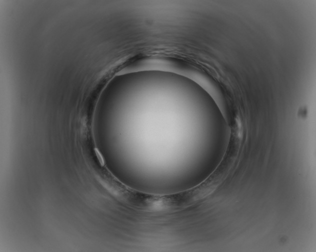 X0000093260564200709261734