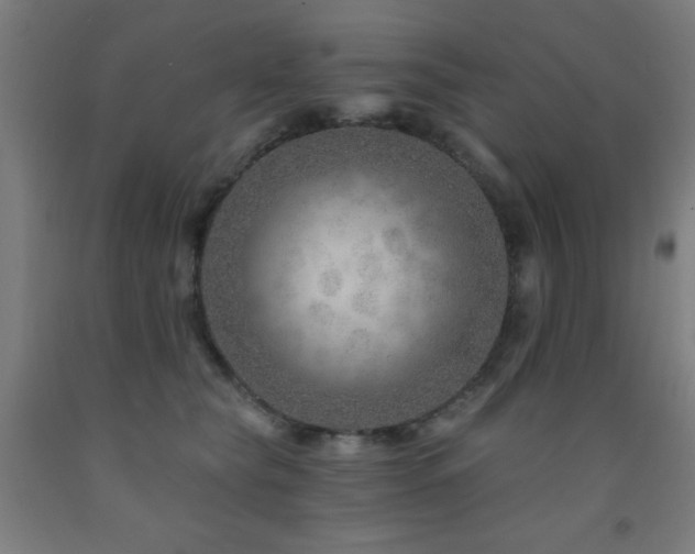 X0000093260565200709261734