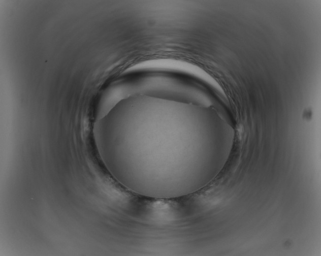 X0000093260566200709261734