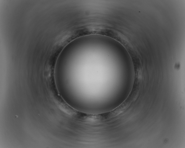 X0000093260567200709261734