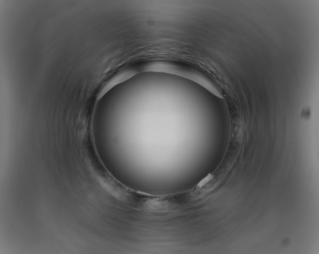 X0000093260568200709261734