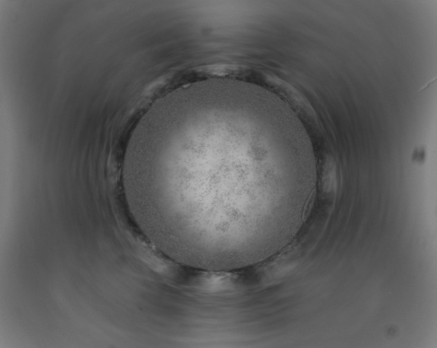 X0000093260569200709261734