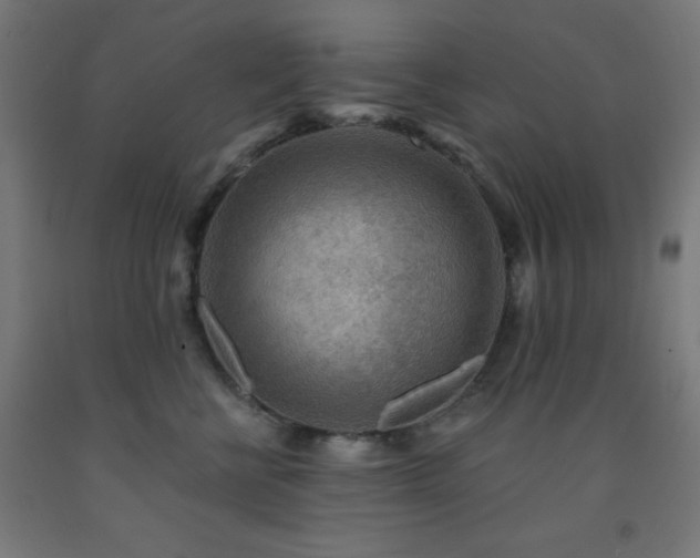 X0000093260570200709261734