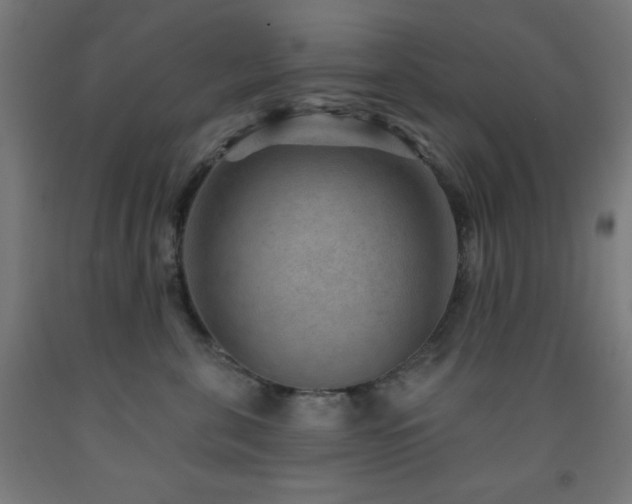 X0000093260571200709261734