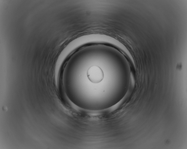 X0000093260572200709261734