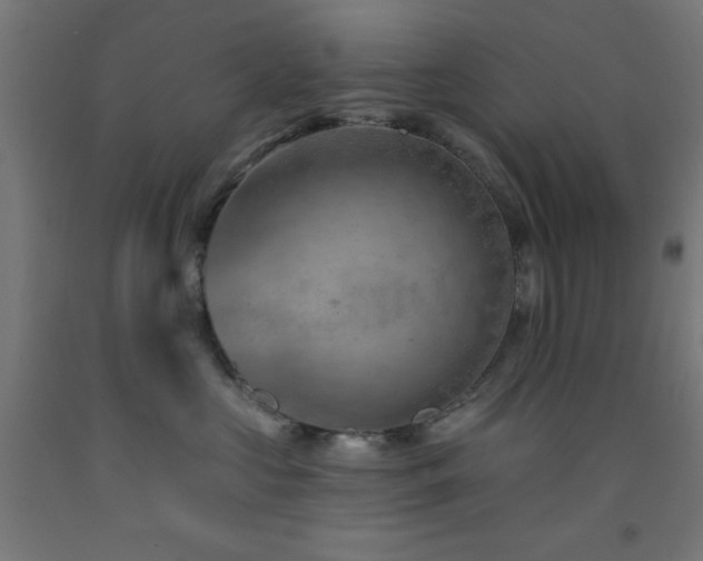 X0000093260573200709261734