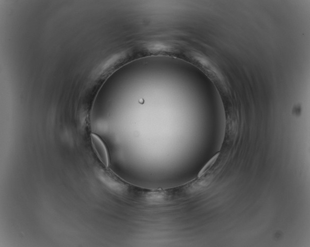 X0000093260574200709261734